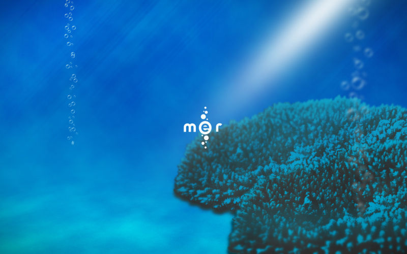 File:Mer Wazd Logo Seastuff 1920x1200.jpg