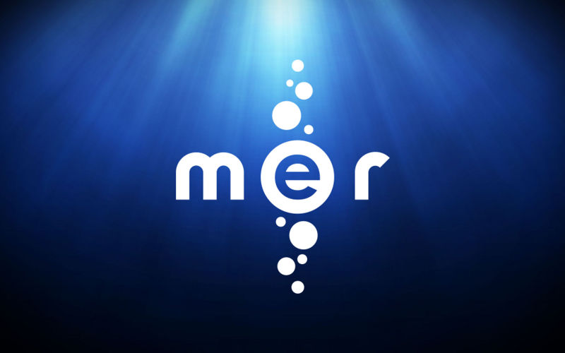 File:Mer logo test.jpg